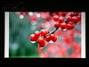 奥图码HD80