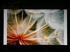 奥图码HD80