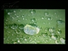 奥图码HD80