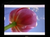 优派PJ513D