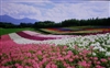 三星SP-A800B
