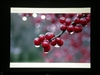 BenQ MP510