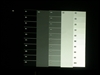 NEC NP60+