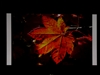 奥图码HD73
