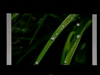 奥图码HD73