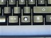Microsoft Reclusa