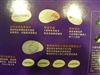BenQ A800海贝键盘标准版