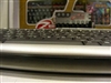 PLEOMAX PKB-5000