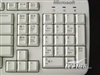 Microsoft 光学精巧套装(Wired Desktop 500)