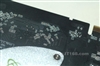 XFX讯景GF8600GT/256M/128b(PV-T84J-UAN)