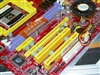 硕菁SK-NF4-DUAL
