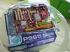 MSI P965 NEO