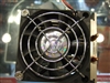 AVC 龙骑士