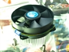 AVC 亚瑟王