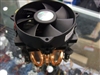 AVC 亚历山大
