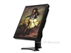 NEC 2190UXp