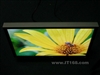 DELL UltraSharp 2407WFP