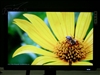 LG W2242T