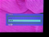 优派VX2433wm