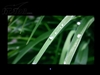 优派VX2433wm