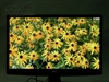 HKC S2209