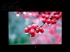 美格WE223DF