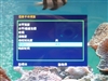 优派VX1940w