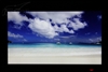 LG W2486L