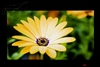 LG W2486L