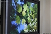 DELL UltraSharp 2209WA