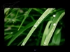 玛雅HD98
