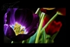 海尔HD2201WP
