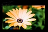 海尔HD2201WP