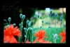 海尔HD2201WP