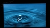 三星2343BW