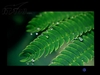LG L227WTP