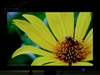 LG L227WTP