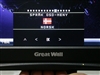 Great Wall M99