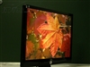 AOC 2217V