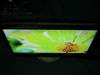 NEC LCD24WMCX