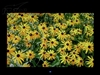 美格Visboard VA1-19B