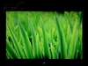 美格Visboard VA1-19B