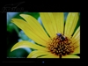 美格Visboard VA1-19B