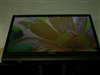 玛雅W221M