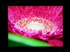 华硕LS201