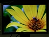 BenQ FP94VW