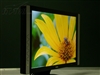BenQ FP94VW