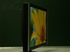 BenQ FP94VW