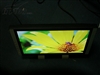 BenQ FP94VW