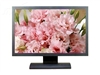 BenQ FP222W